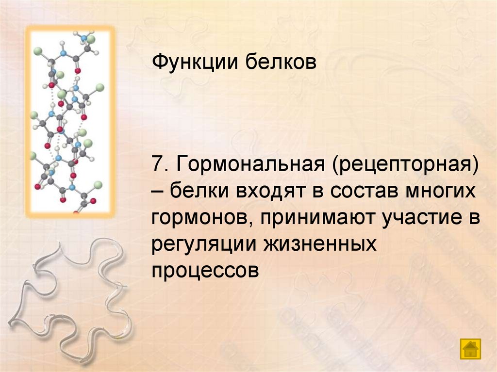 Функции белков