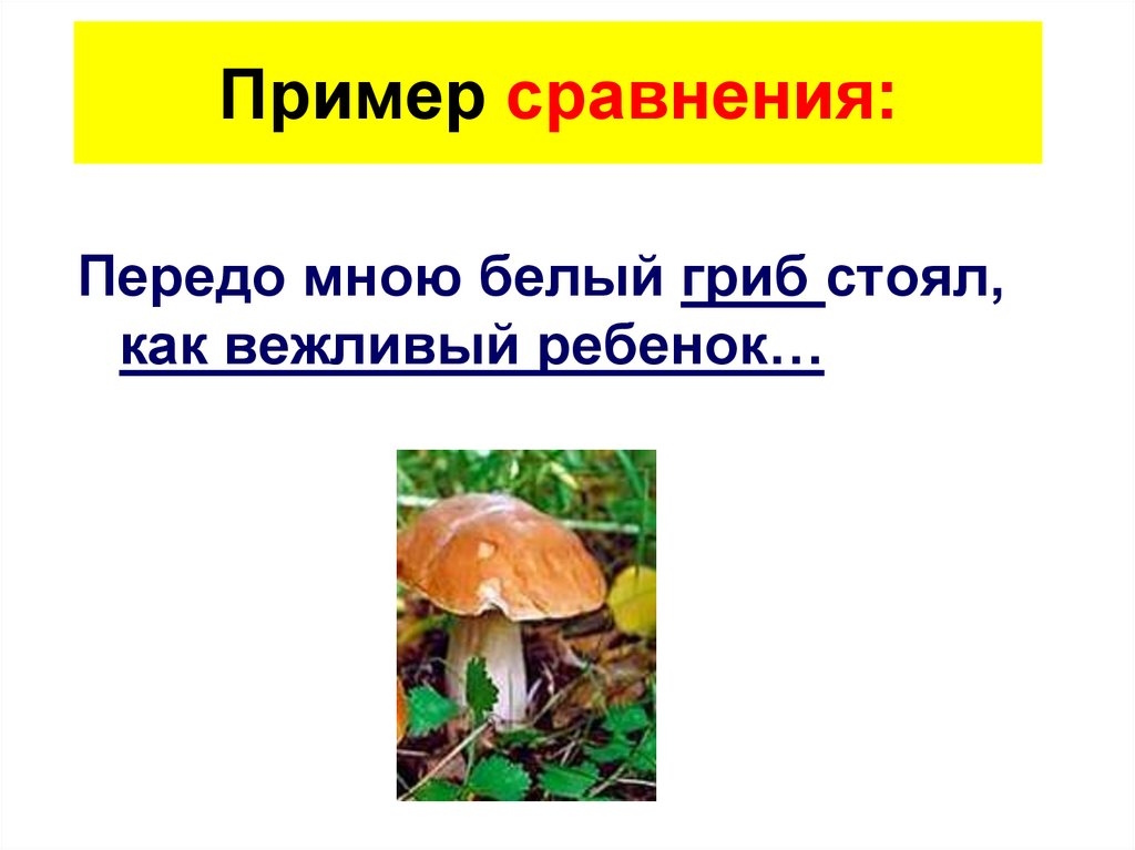 Пример сравнения: