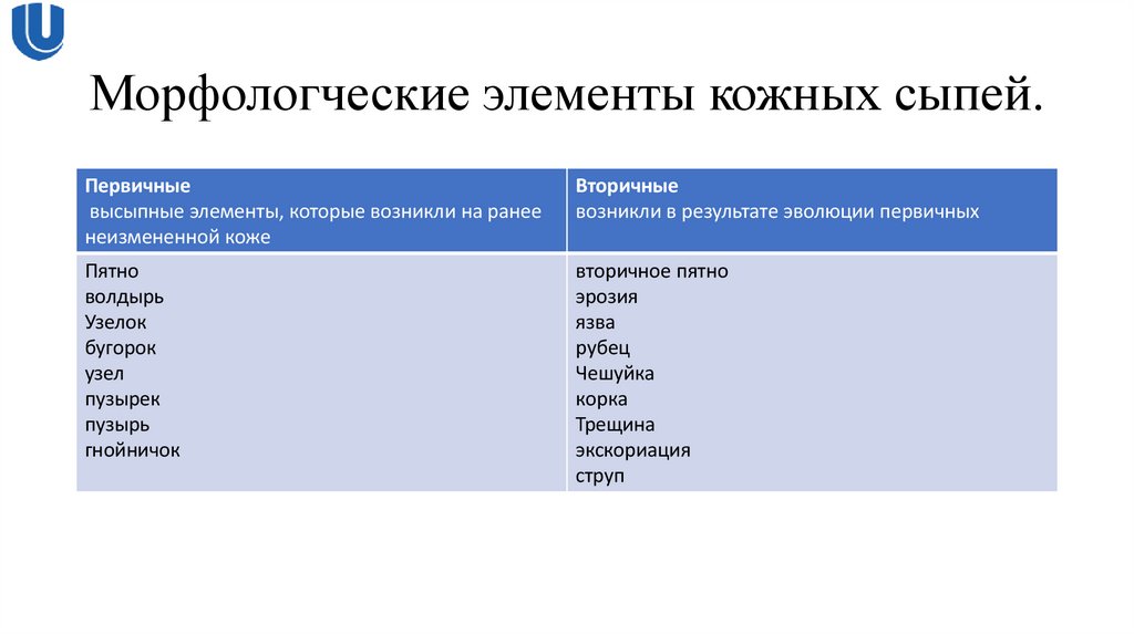Морфологческие элементы кожных сыпей.