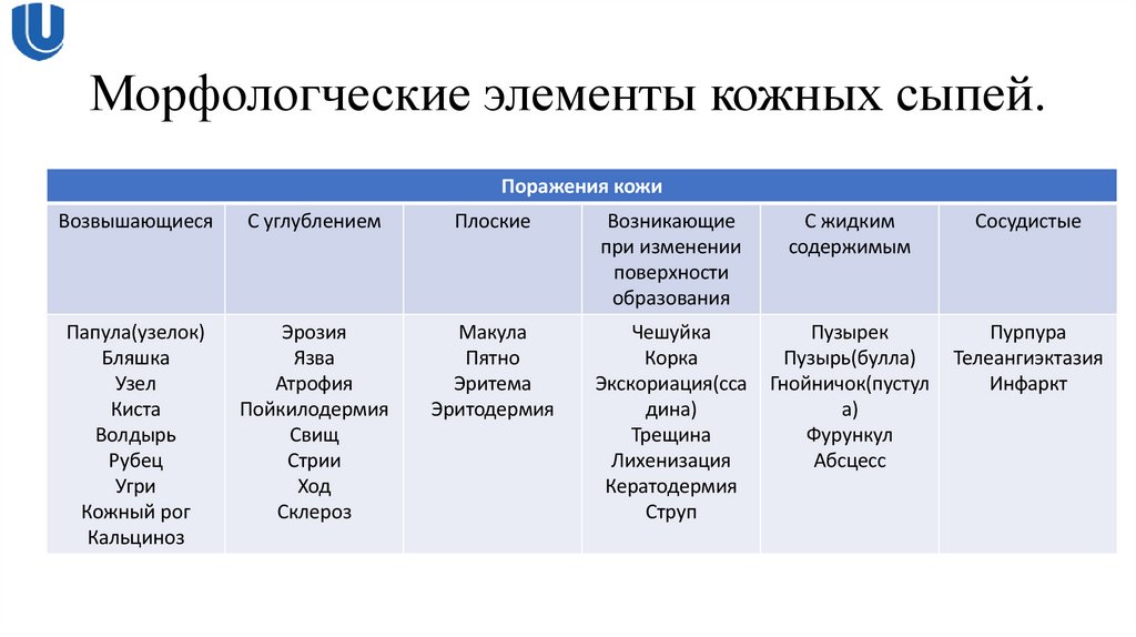 Морфологческие элементы кожных сыпей.