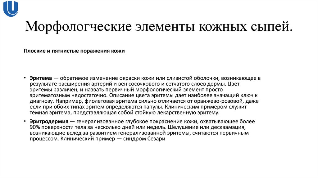 Морфологческие элементы кожных сыпей.