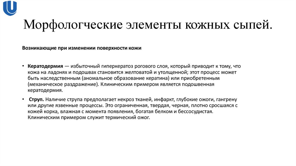 Морфологческие элементы кожных сыпей.