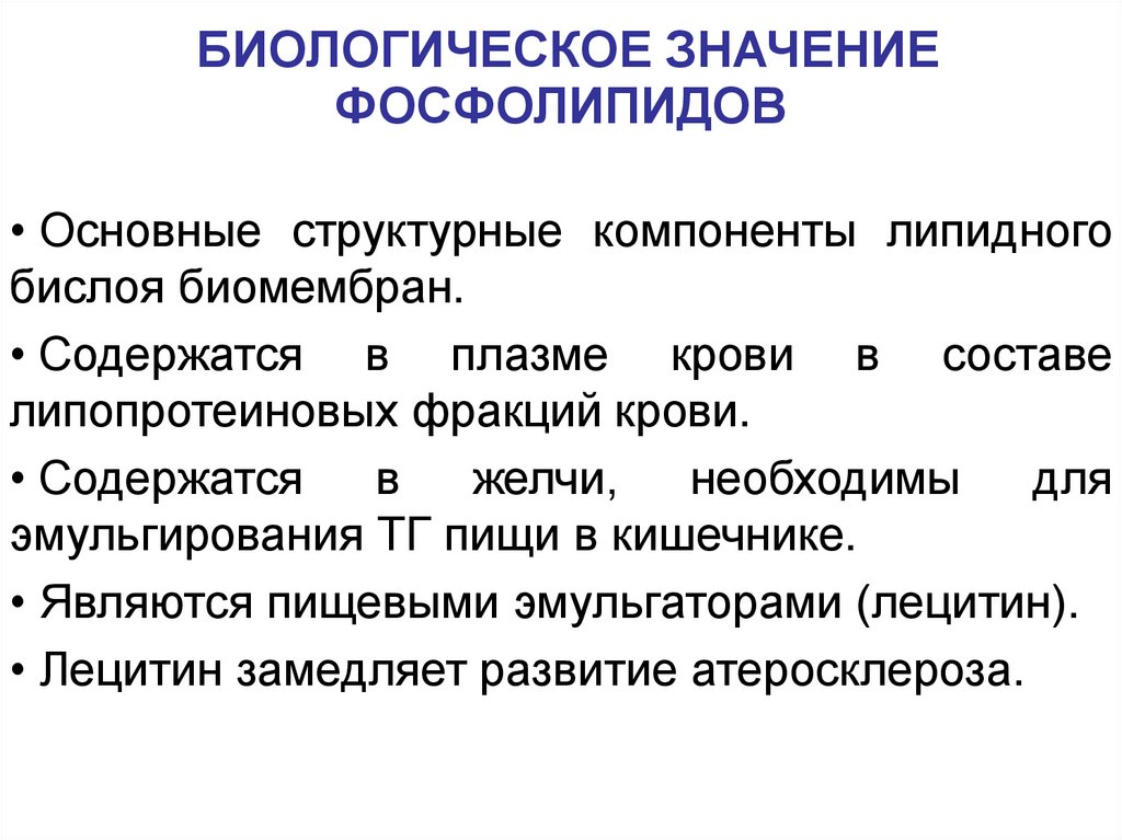 БИОЛОГИЧЕСКОЕ ЗНАЧЕНИЕ ФОСФОЛИПИДОВ