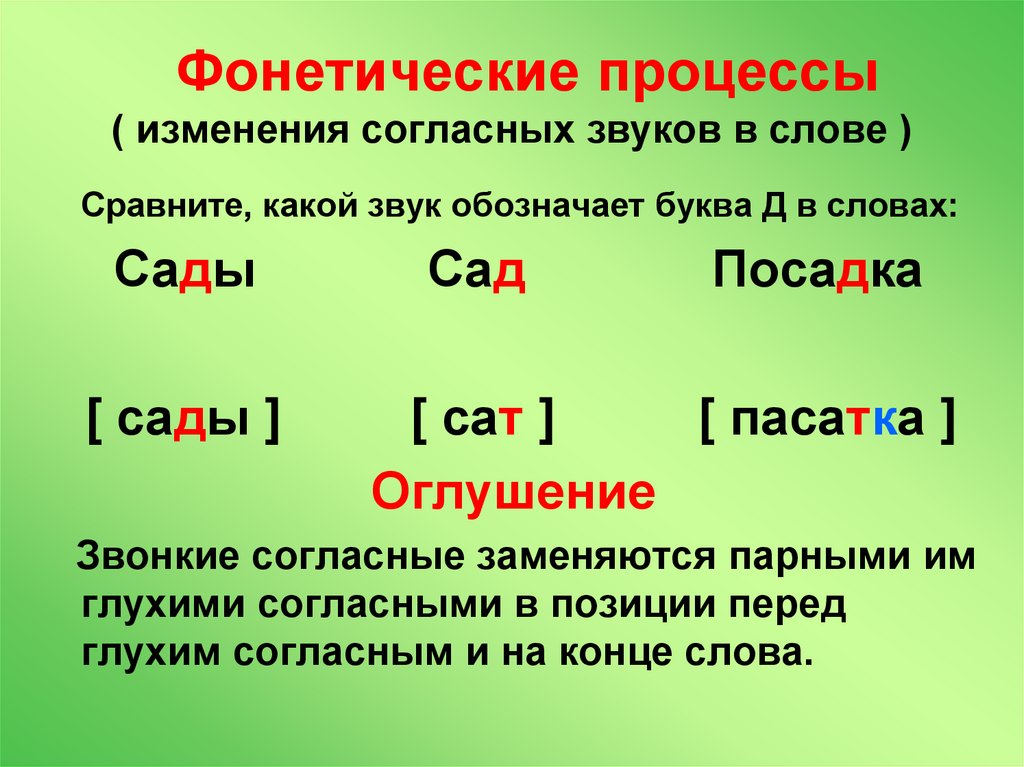 Фонетические процессы ( изменения согласных звуков в слове )