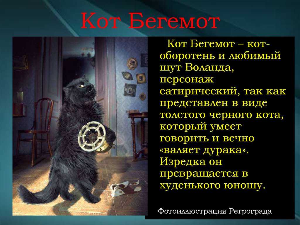 Кот Бегемот