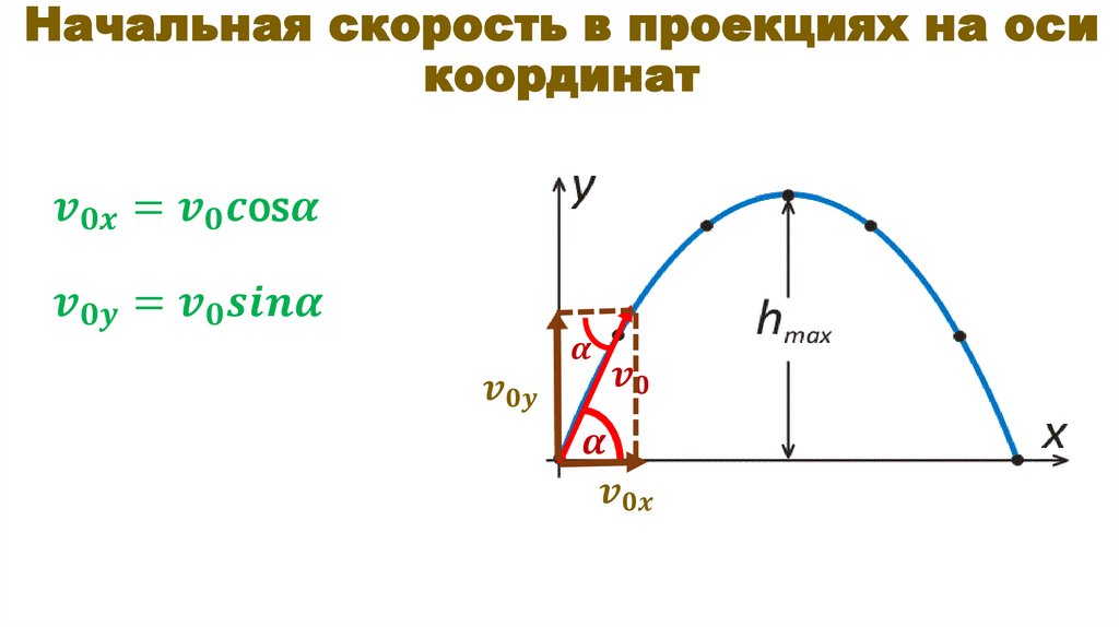 Начальная скорость в проекциях на оси координат