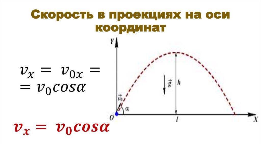 Скорость в проекциях на оси координат