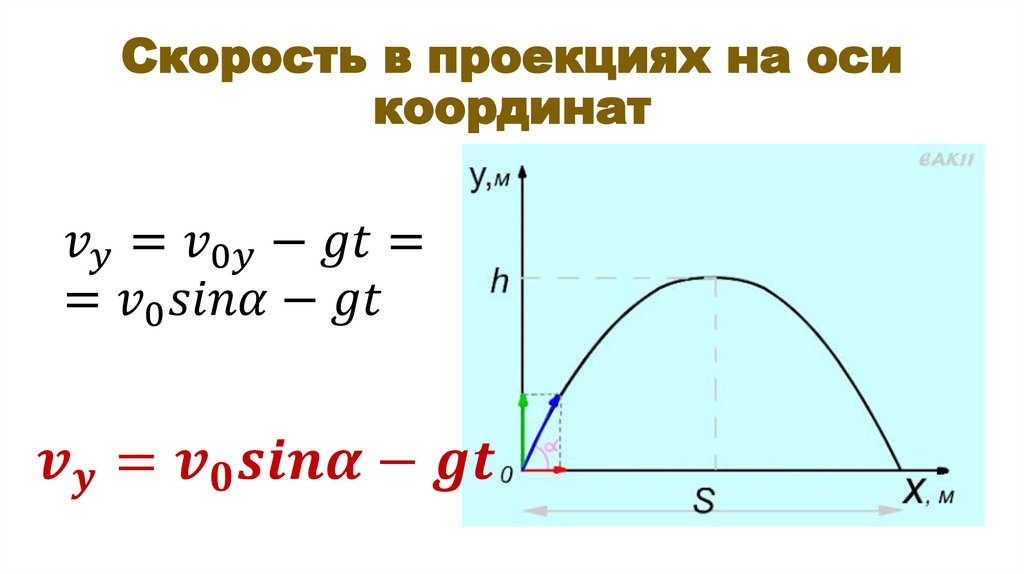 Скорость в проекциях на оси координат