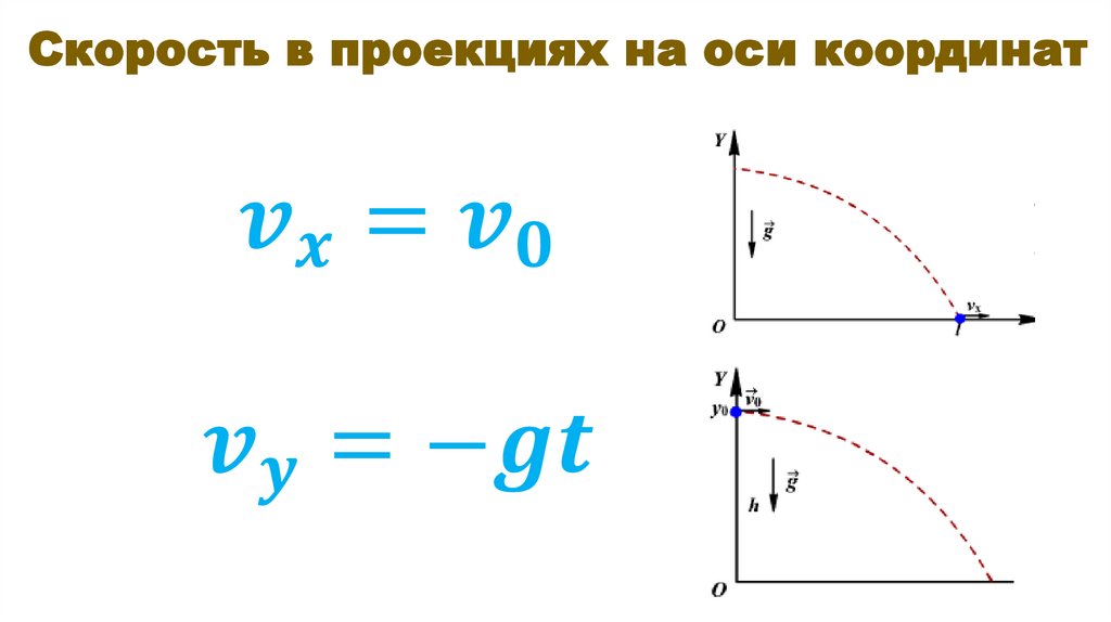 Скорость в проекциях на оси координат