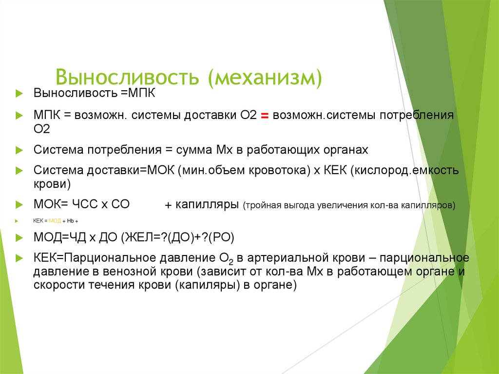 Выносливость (механизм)