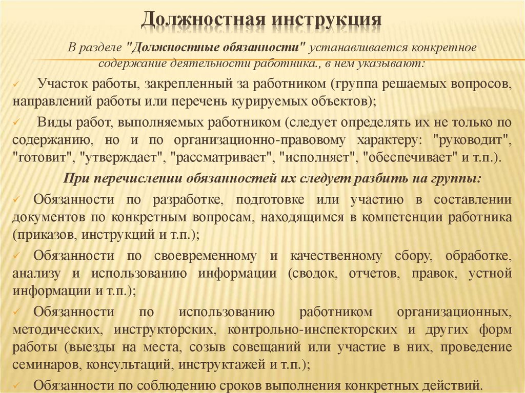 Должностная инструкция