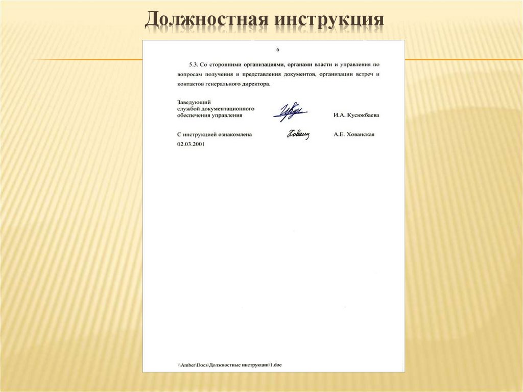 Должностная инструкция