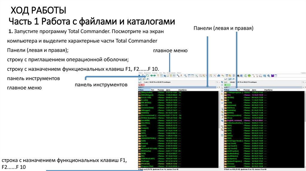 ХОД РАБОТЫ Часть 1 Работа с файлами и каталогами