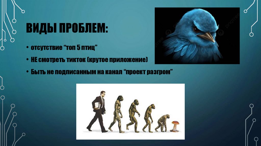 Виды проблем: