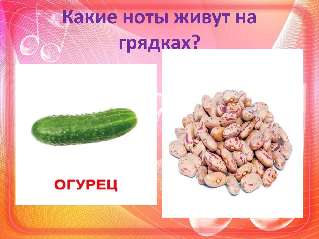 Какие ноты живут на грядках?