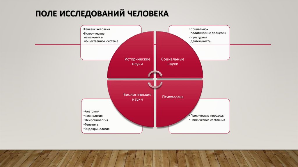 Поле исследований человека