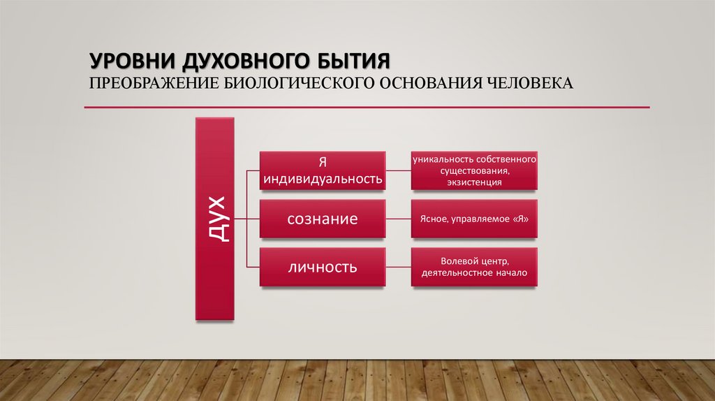 Уровни духовного бытия преображение биологического основания человека
