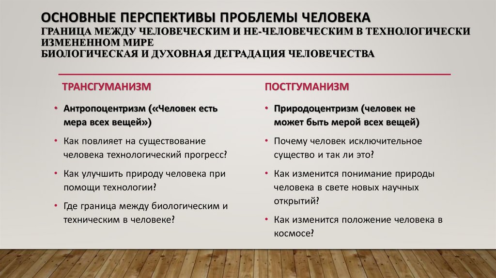 Основные перспективы проблемы человека граница между человеческим и не-человеческим в технологически измененном мире