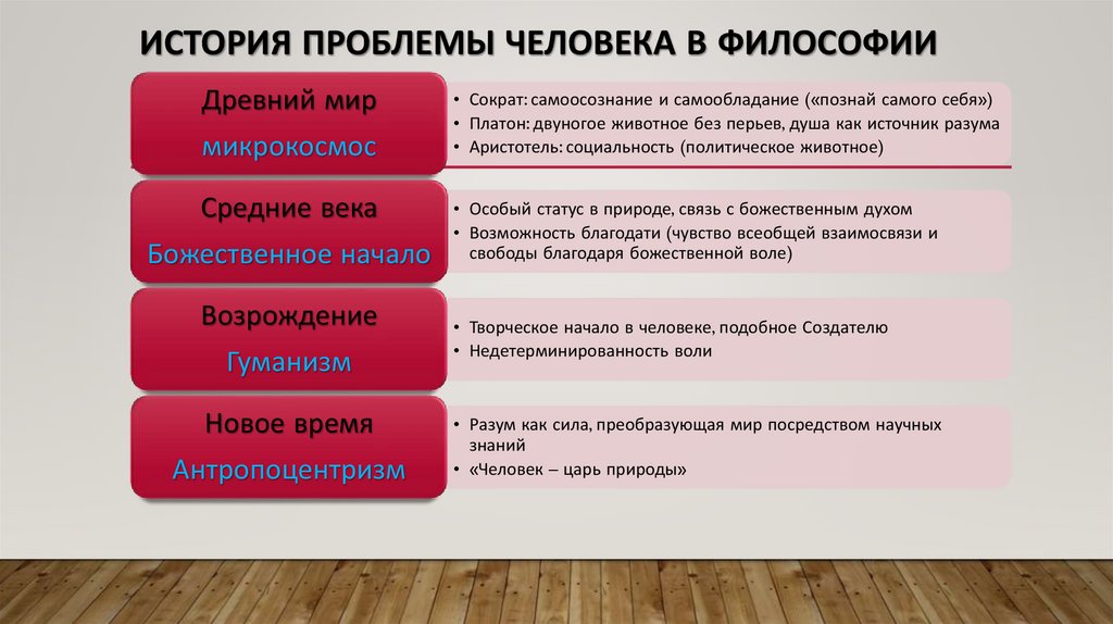 История проблемы человека в философии