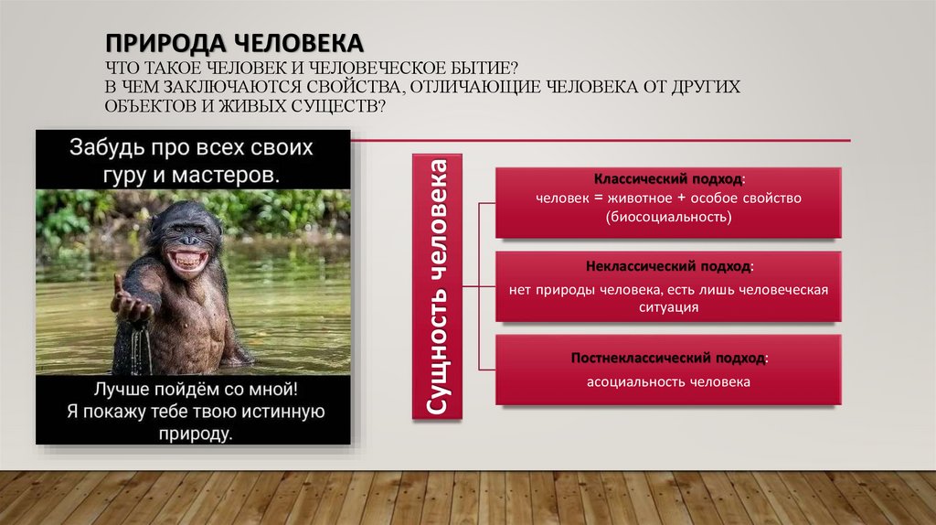 Природа человека Что такое человек и человеческое бытие? В чем заключаются свойства, отличающие человека от других объектов и