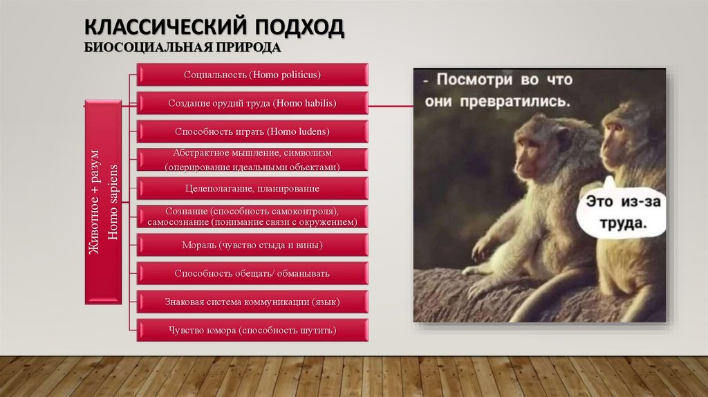 Классический подход биосоциальная природа