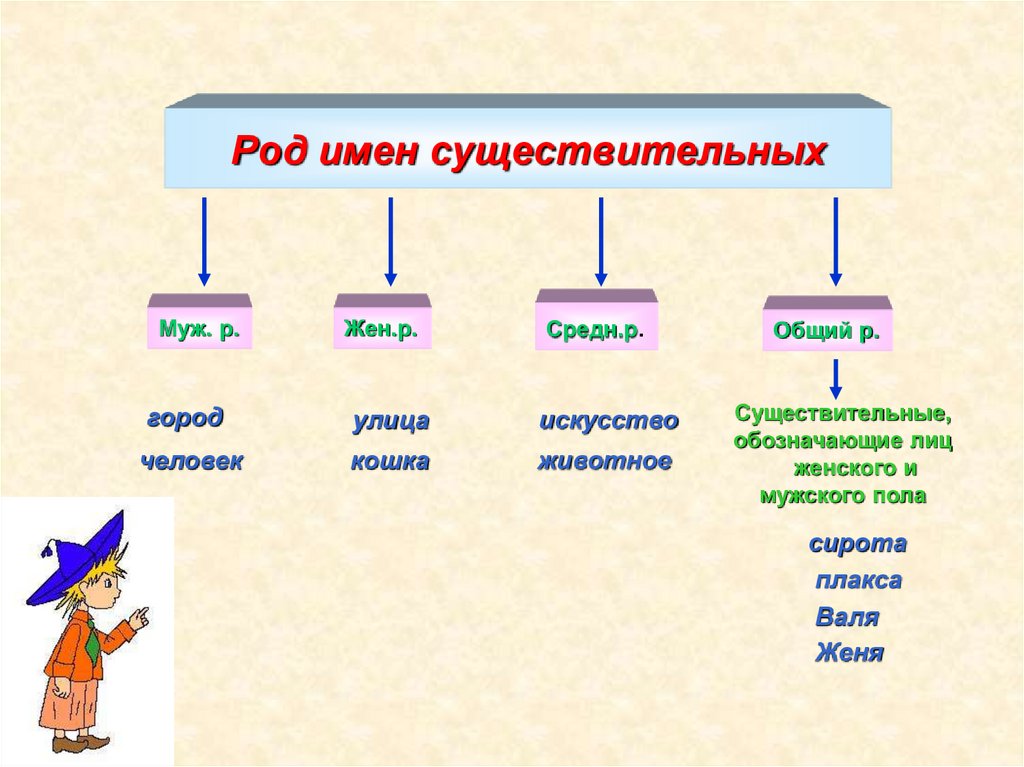 Род имен существительных