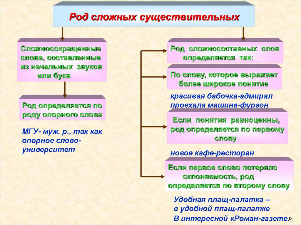 Род сложных существительных