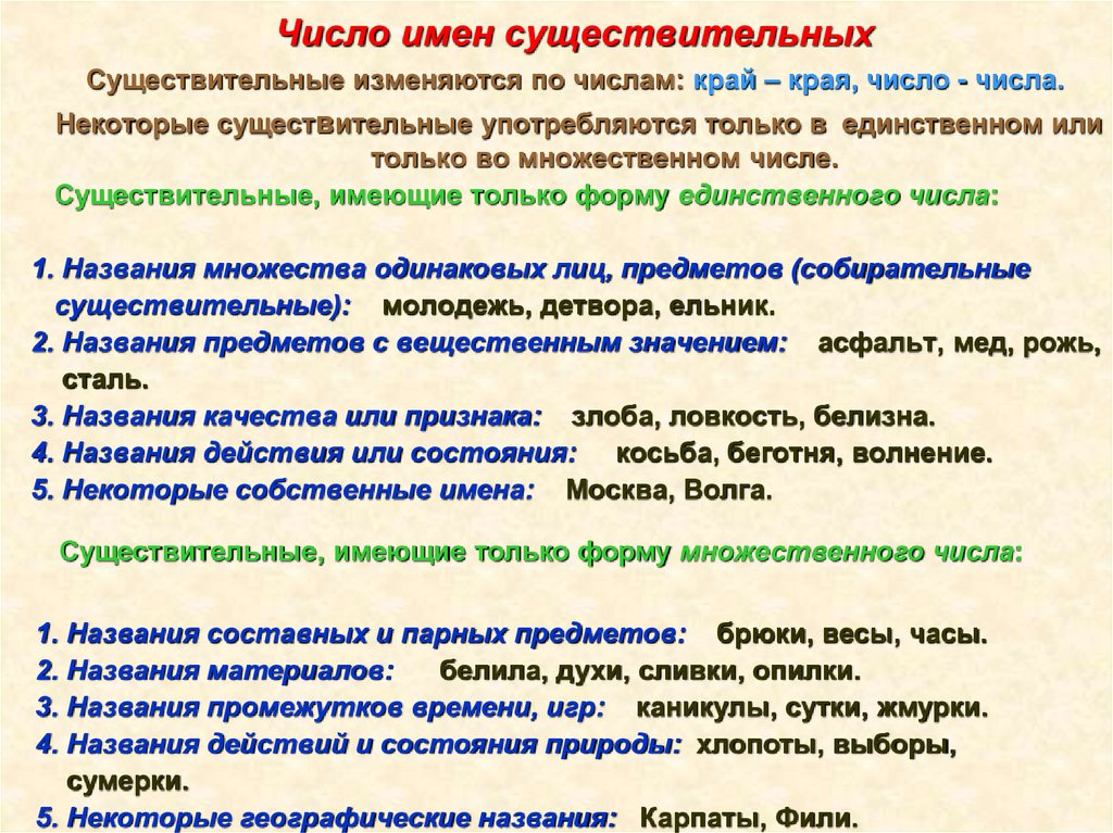 Число имен существительных