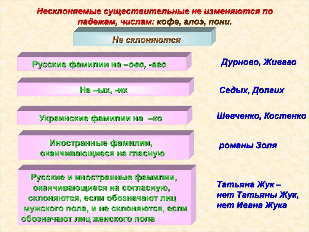 Несклоняемые существительные не изменяются по падежам, числам: кофе, алоэ, пони.