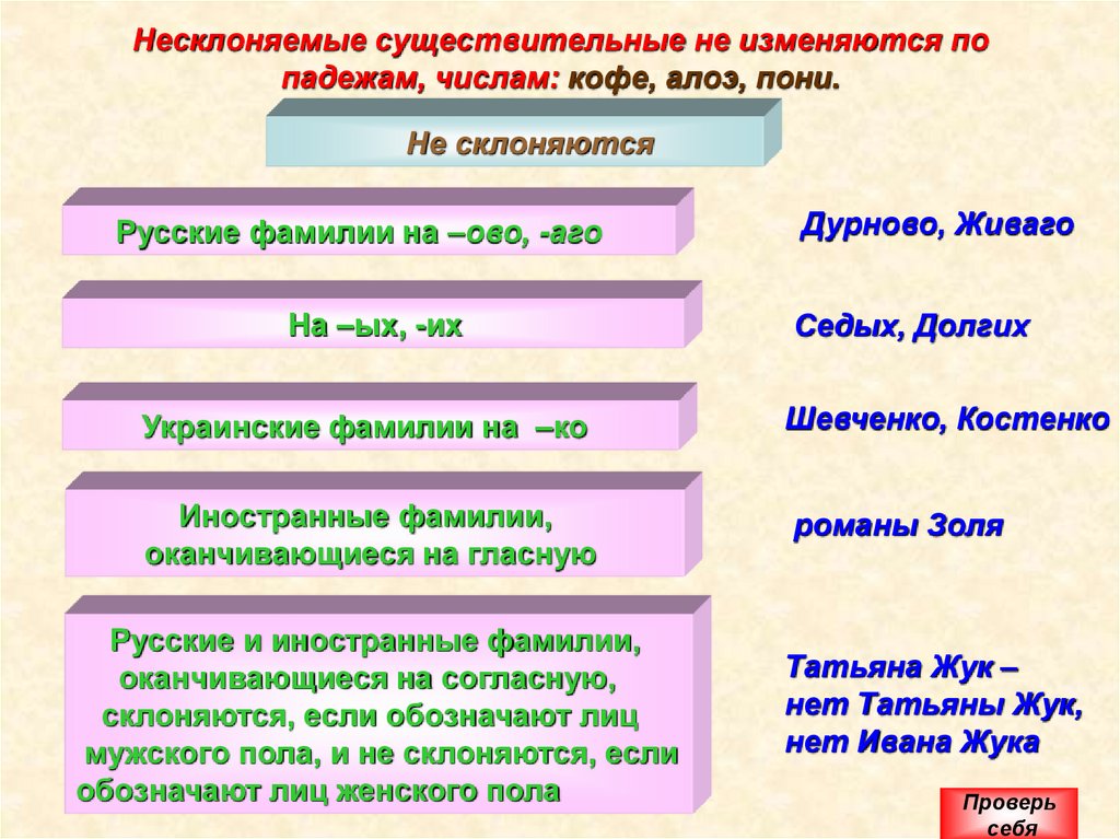 Несклоняемые существительные не изменяются по падежам, числам: кофе, алоэ, пони.