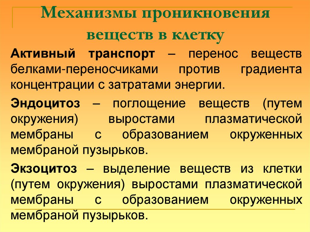 Механизмы проникновения веществ в клетку