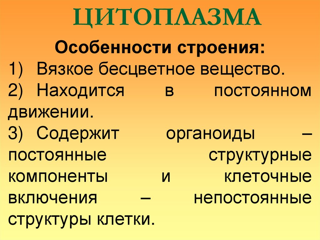 ЦИТОПЛАЗМА