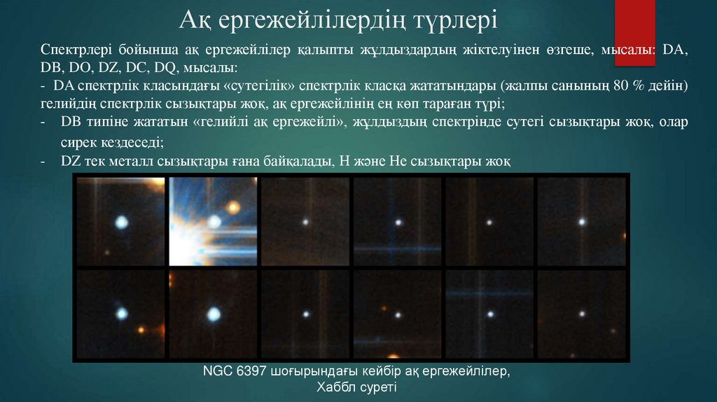 Ақ ергежейлілердің түрлері