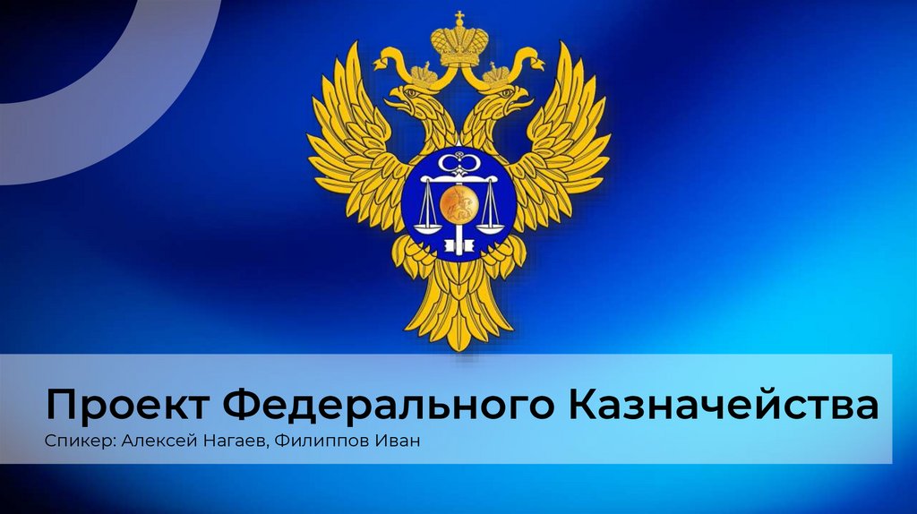 Проект Федерального Казначейства