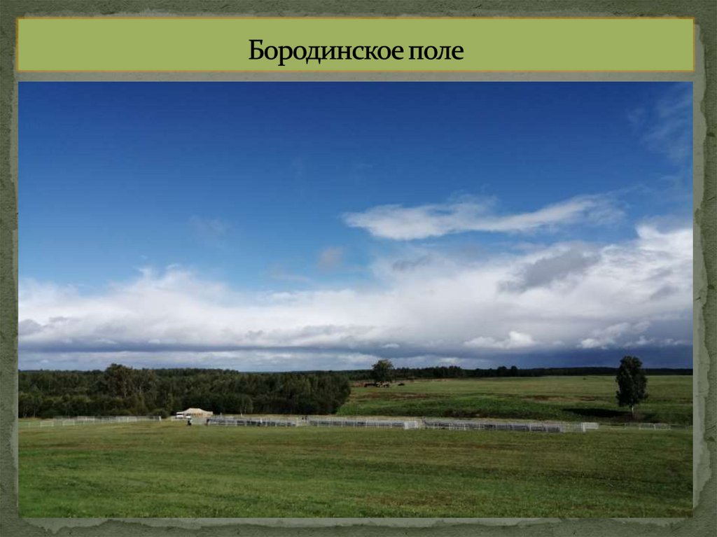 Бородинское поле