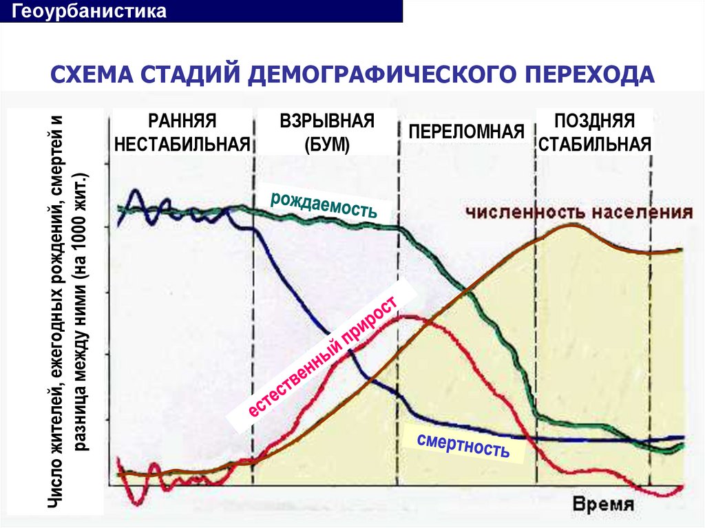 СХЕМА СТАДИЙ ДЕМОГРАФИЧЕСКОГО ПЕРЕХОДА