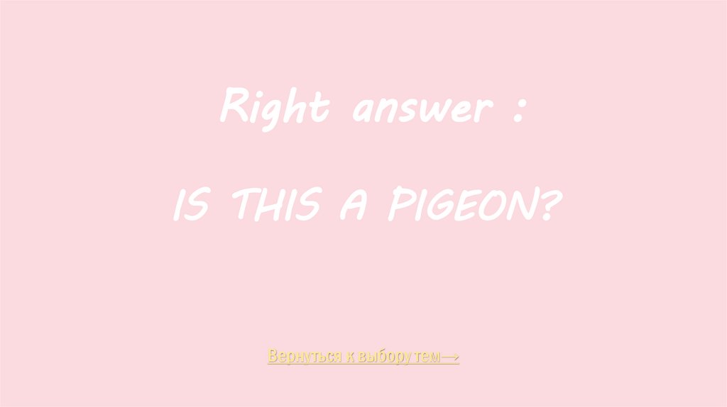 IS THIS A PIGEON?