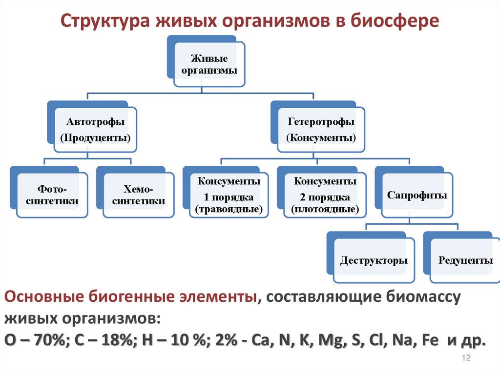 Структура живых организмов в биосфере