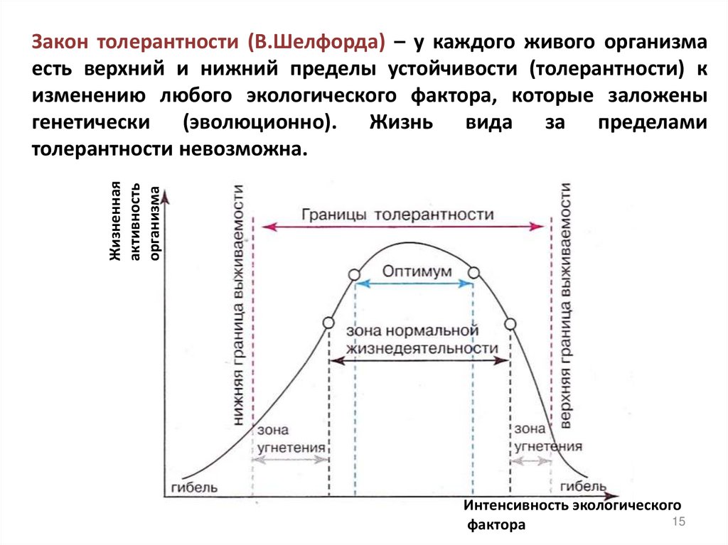 Закон толерантности (В.Шелфорда) – у каждого живого организма есть верхний и нижний пределы устойчивости (толерантности) к