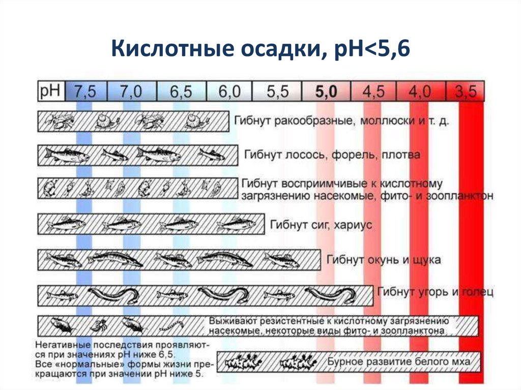Кислотные осадки, рН<5,6