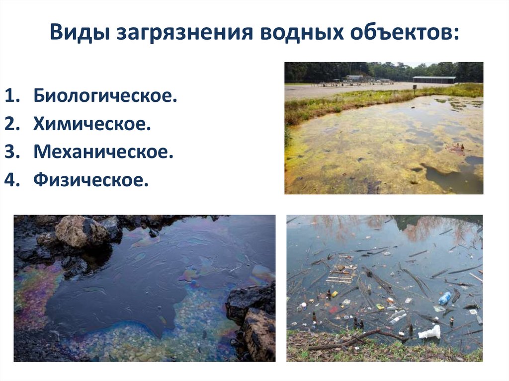 Виды загрязнения водных объектов: