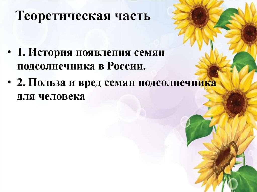 Теоретическая часть