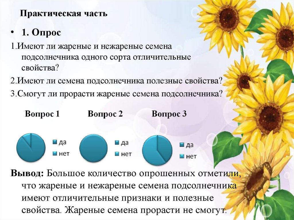 Практическая часть