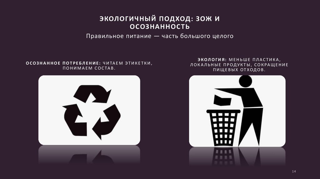 Экологичный подход: ЗОЖ и осознанность