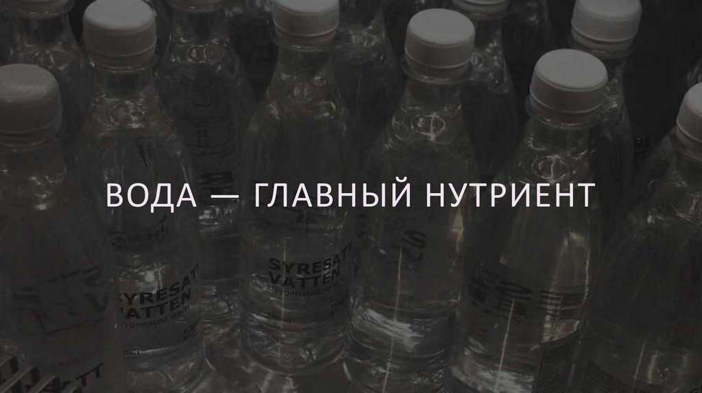 Вода — главный нутриент