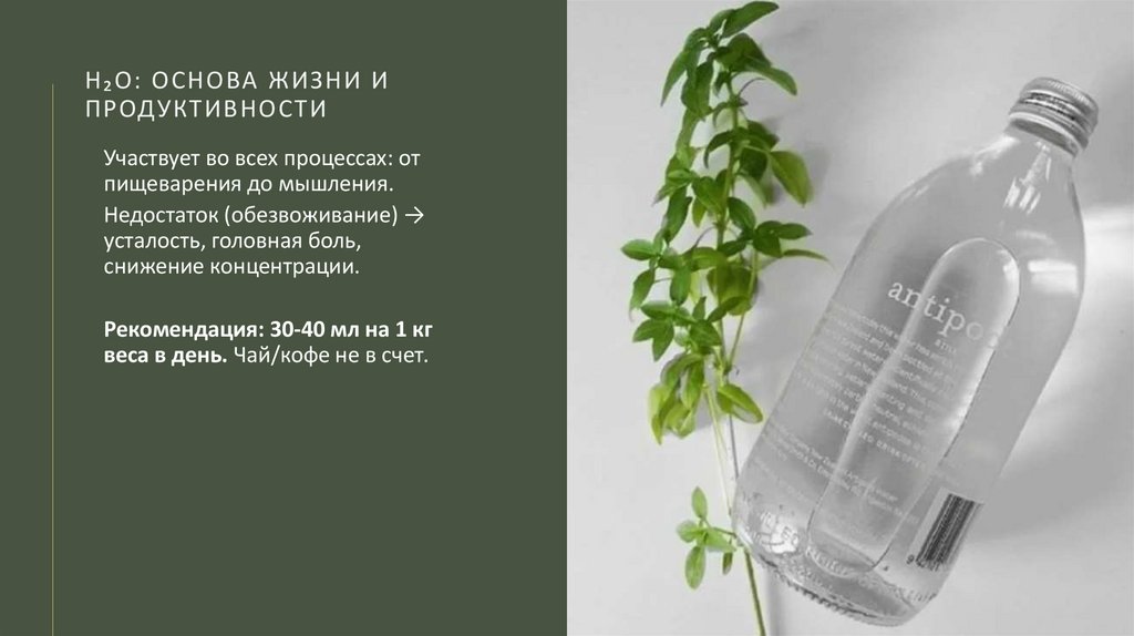 H₂O: основа жизни и продуктивности