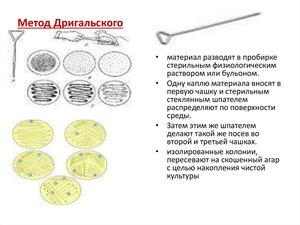 Метод Дригальского