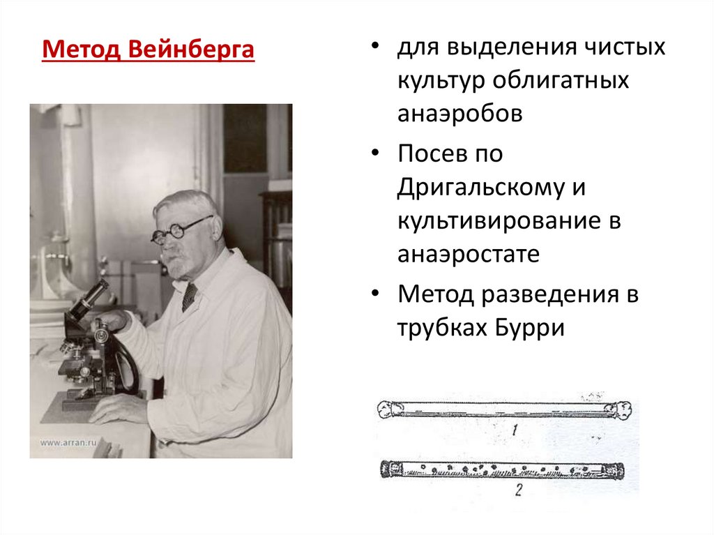 Метод Вейнберга