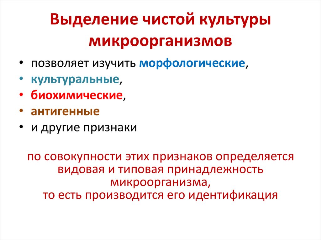 Выделение чистой культуры микроорганизмов