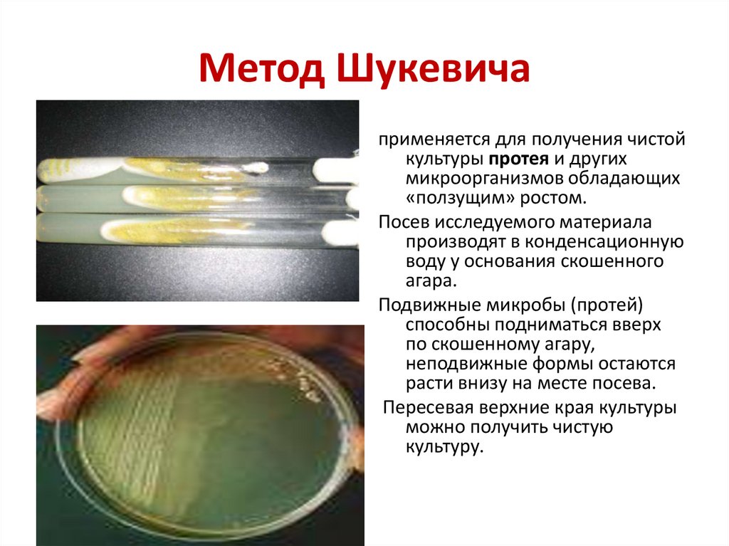 Метод Шукевича